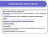 Административное право