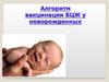 Алгоритм вакцинации БЦЖ у новорожденных