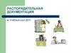Распорядительная документация