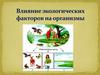 Влияние экологических факторов на организмы