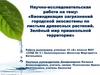 Биоиндикация загрязнений городской экосистемы по листьям древесных растений. Зелёный мир пришкольной территории