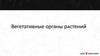 Растения. Вегетативные органы растений