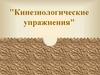 Кинезиологические упражнения