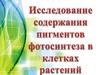 Исследование содержания пигментов фотосинтеза в клетках растений