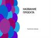 Шаблон оформления для практико-ориентированного проекта