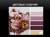 Цветовые созвучия
