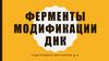 Ферменты модификации ДНК