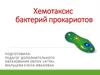 Хемотаксис бактерий прокариотов