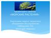 Морские растения