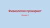 Физиология прокариот. Лекция 2