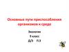 Основные пути приспособления организмов к среде