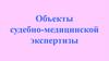 Объекты судебно-медицинской экспертизы