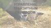Управление транзитным периодом