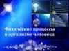 Физические процессы в организме человека