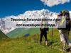 Техника безопасности в походе