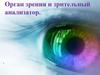 Орган зрения и зрительный анализатор