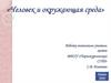 Человек и окружающая среда. Тест