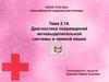 Диагностика повреждений мочевыделительной системы и прямой кишки. Преподаватель хирургии