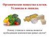 Органические вещества клетки. Углеводы и липиды