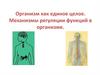 Организм как единое целое. Механизмы регуляции функций в организме. Нервная система