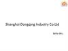 Shanghai Dongqing Industry Co.Ltd Bella-Wu