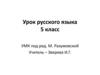 Урок русского языка (5 класс)
