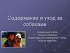 Содержание и уход за собаками. Лекция №4
