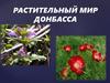 Растительный мир Донбасса