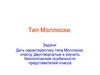 Тип Моллюски