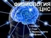 Физиология ЦНС