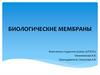 Образование и эволюция биологических мембран. Первые гетеротрофы