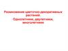 Размножение цветочно-декоративных растений. Однолетники, двулетники, многолетники
