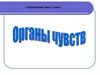 Органы чувств. Строение