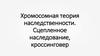 Хромосомная теория наследственности. Сцепленное наследование, кроссинговер
