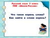 Что такое корень слова? Как найти в слове корень?