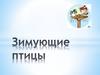 Зимующие птицы. Загадки