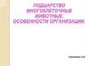 Особенности организации Многоклеточных животных