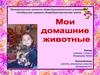 Домашние питомцы