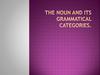 The noun and its grammatical categories