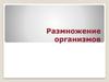 Размножение организмов