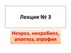 Некроз, некробиоз, апоптоз, атрофия