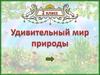 Георгий Скребицкий «Длинноносые рыболовы». 2 класс
