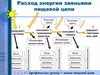 Расход энергии звеньями пищевой цепи