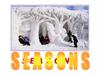 Seasons