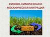 Физико-химическая и механическая миграция