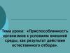 Приспособленность организмов к условиям внешней среды, как результат действия естественного отбора