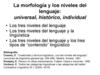 La morfología y los niveles del lenguaje: universal, histórico, individual