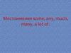 Местоимения some, any, much, many, a lot of