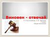Виновен - отвечай
