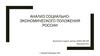 Анализ социально-экономического положения России